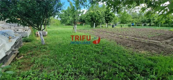 Teren Alba Iulia - poza 12