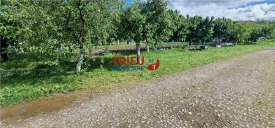 Teren de vanzare in Centrul orasului - foto 5