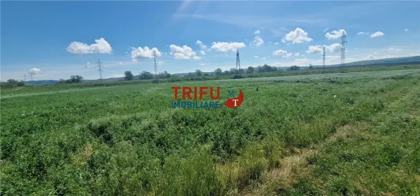 Teren Alba Iulia - poza 1