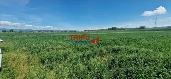 Teren Alba Iulia - poza 3
