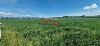Teren de vanzare zona Soseaua de Centura - foto 3