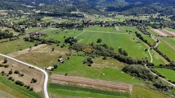 Teren Valea Stramba - poza 3