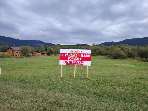 Teren Valea Stramba - poza 7