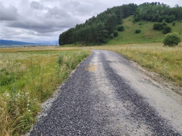 Teren Valea Stramba - poza 8
