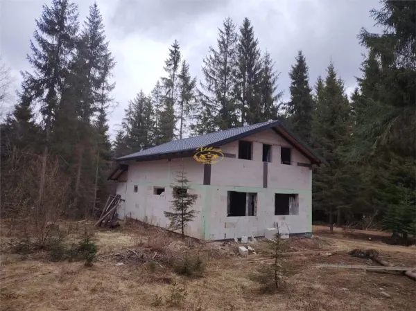 Casă 7 camere Borzont - poza 1