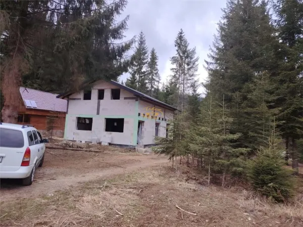 Casă 7 camere Borzont - poza 2