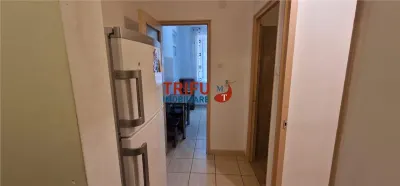 Garsoniera de inchiriat zona Cetate - foto 7