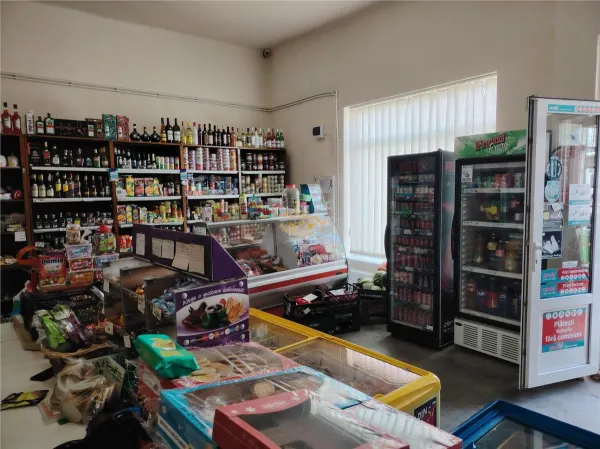 Spațiu comercial Remetea - poza 4