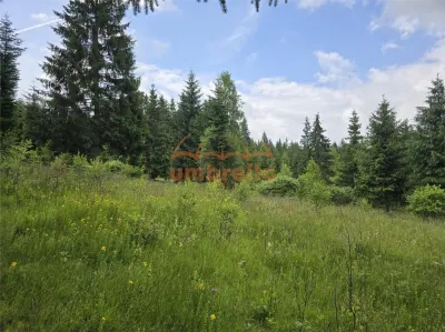 Teren de vanzare intravilan Dealu Negru, com.Calatele, jud. Cluj 1.500m²/25€ m² - foto 6