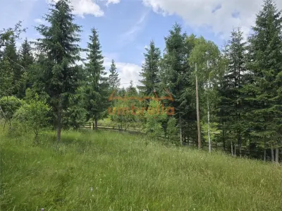Teren de vanzare intravilan Dealu Negru, com.Calatele, jud. Cluj 1.500m²/25€ m² - foto 8