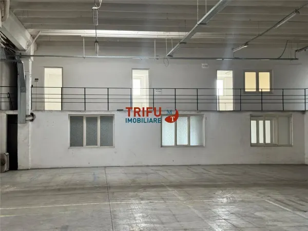 Spațiu industrial Alba Iulia - poza 9