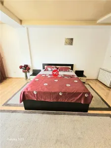 Inchiriere Apartament Superb 180 mp, Centru Vechi - foto 16
