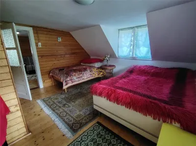 Casa de vacanta (Gheorgheni, str. Szarvas, zona Km 4) - foto 14