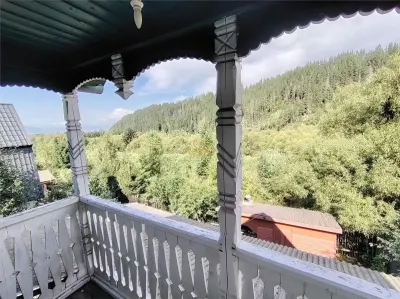 Casa de vacanta (Gheorgheni, str. Szarvas, zona Km 4) - foto 16