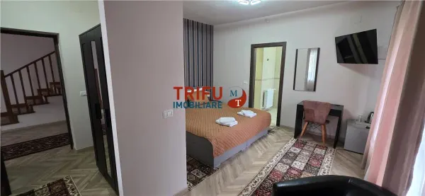 Hotel/Pensiune Alba Iulia - poza 14
