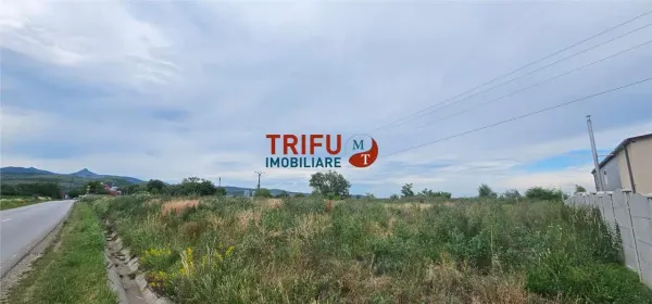 Teren Ighiu - poza 11