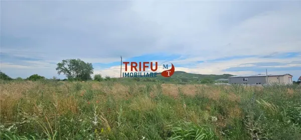 Teren Ighiu - poza 13