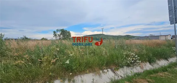 Teren Ighiu - poza 10