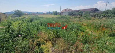 Teren de vanzare zona Barabant - foto 11