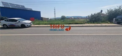 Teren de vanzare zona Barabant - foto 5