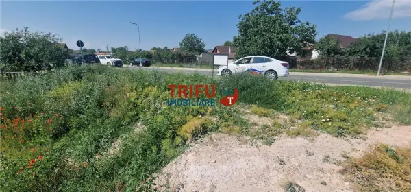 Teren Alba Iulia - poza 10