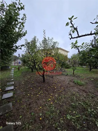 Casă 3 camere Valu lui Traian - poza 17