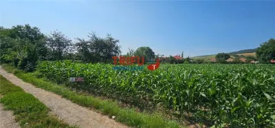 Teren intravilan in Sard 928 - foto 5