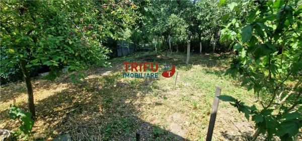 Casă 4 camere Alba Iulia - poza 22