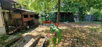 Casă individuală cu curte verde, pe cea mai frumoasă stradă din Centrul Alba Iuliei - foto 23