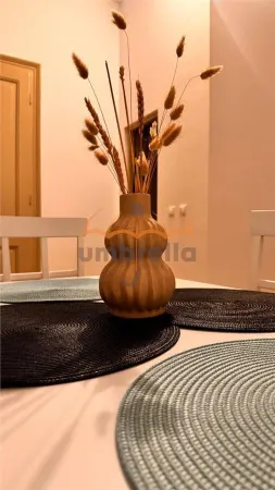 Apartament 2 camere Cluj-Napoca - poza 24