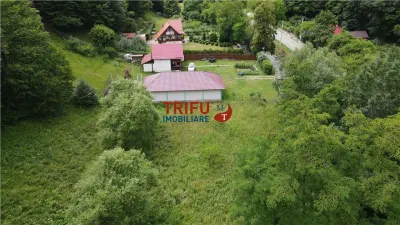 Teren ideal pentru cabană sau pensiune în Poiana Galdei - foto 4