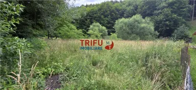 Teren ideal pentru cabană sau pensiune în Poiana Galdei - foto 6