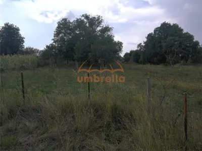 De vanzare teren 1.800m²/36€ m² intrav. in Deus- Chinteni ! - foto 4