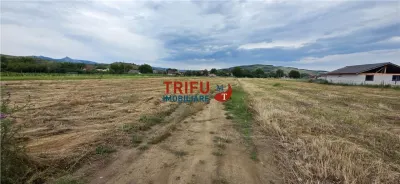 Teren de vanzare in Sard cu suprafata de 1374 mp - foto 3