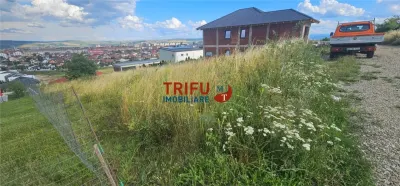 Teren De Vanzare Piata Cetate Cu Priveliste ! - foto 1