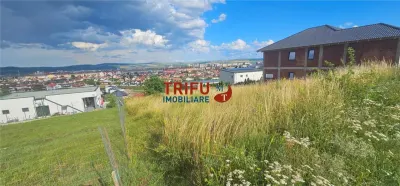 Teren De Vanzare Piata Cetate Cu Priveliste ! - foto 2