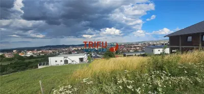 Teren De Vanzare Piata Cetate Cu Priveliste ! - foto 3