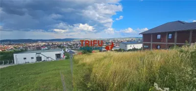 Teren De Vanzare Piata Cetate Cu Priveliste ! - foto 4