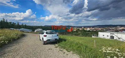 Teren De Vanzare Piata Cetate Cu Priveliste ! - foto 5