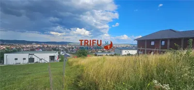 Teren De Vanzare Piata Cetate Cu Priveliste ! - foto 7