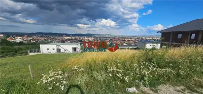 Teren De Vanzare Piata Cetate Cu Priveliste ! - foto 9
