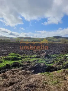 Teren de vanzare 2 parcele total 18.000m²/50€ m² Gherla ! - foto 5