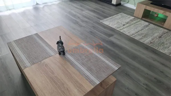 Casă 4 camere Corusu - poza 14