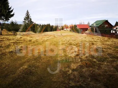 De vanzare teren, 12.300m²/15€ m² - foto 3