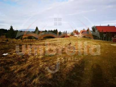 De vanzare teren, 12.300m²/15€ m² - foto 4