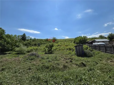 Teren 4800MP - Tomesti - La Soseaua Principala - foto 11
