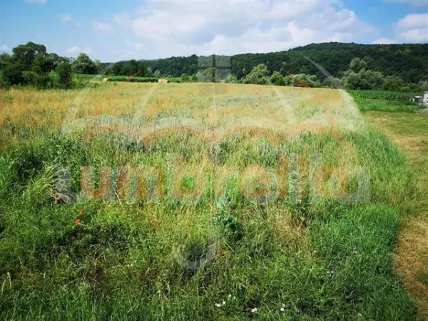 Teren Gherla - poza 1