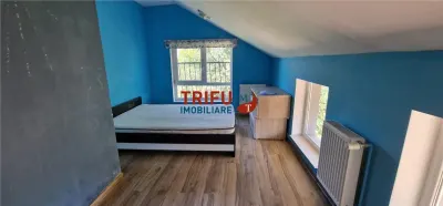 Casă individuală generoasă cu 7 camere și grădină, lângă Cetatea Alba Carolina - foto 7
