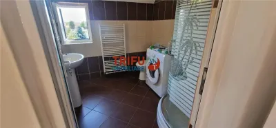 Apartament 2 camere de inchiriat zona Alba Micesti - foto 10