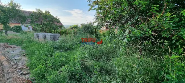 Casă 4 camere Vințu de Jos - poza 20